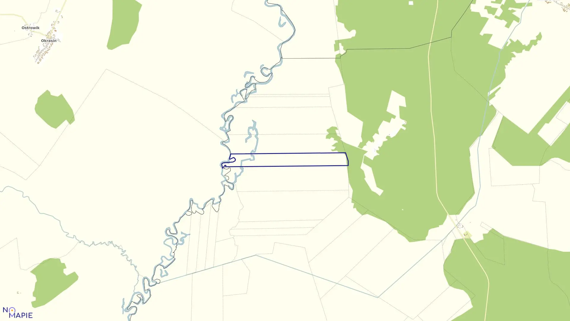 Mapa obrębu BUDY-DZ.DZIEŻKI w gminie Trzcianne