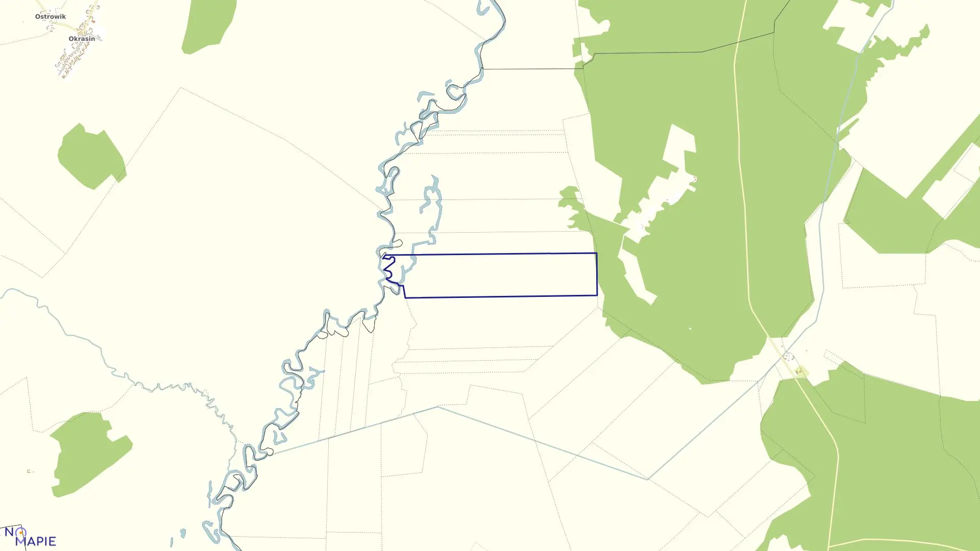 Mapa obrębu BUDY-DZ.KOŁODZIEŻ w gminie Trzcianne